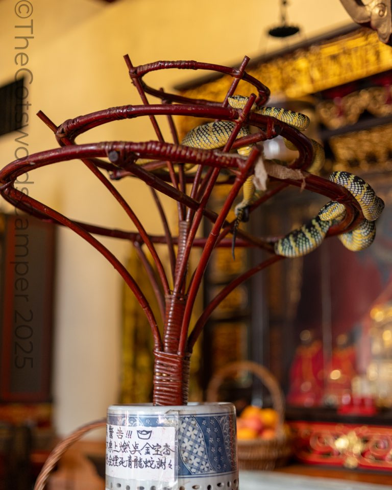 Snake Temple, Penang