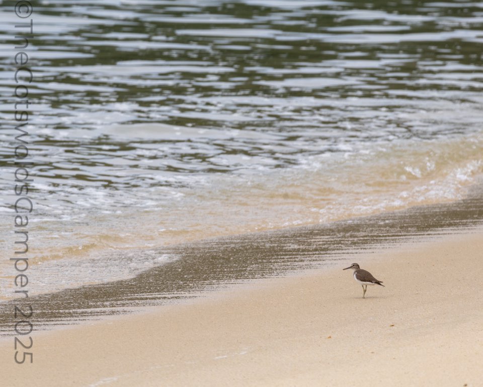 Beach day, Penang, Malaysia